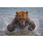 Владислав